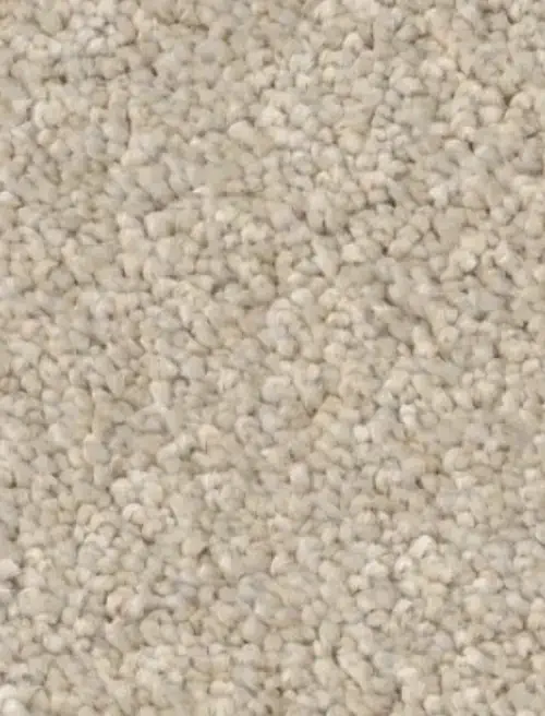 carpet-swatch-img-1